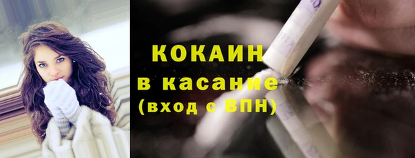 сатива Горно-Алтайск
