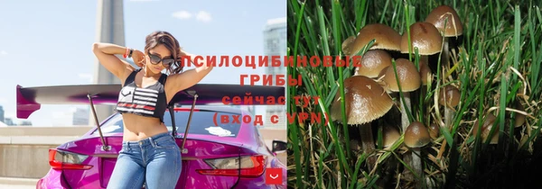 трава Горнозаводск