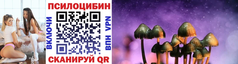 Псилоцибиновые грибы Cubensis  Купить  Салехард 
